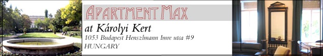 max_logo